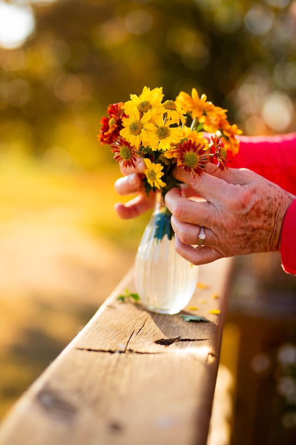 Imatge d’arxiu: mans d’una persona gran preparant flors en un gerro.